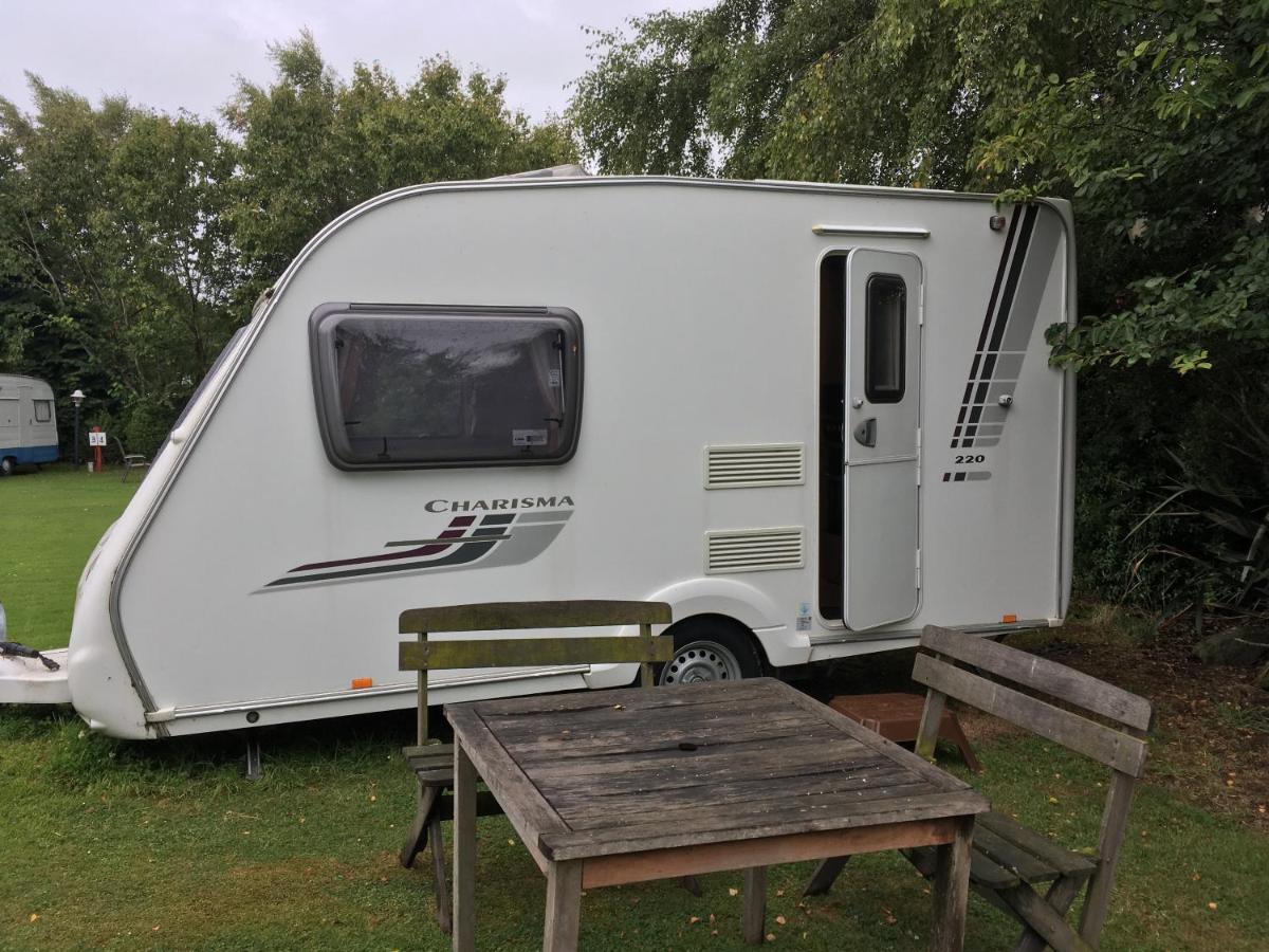 Thomas'S Catlins Lodge And Camp Ground Owaka Luaran gambar